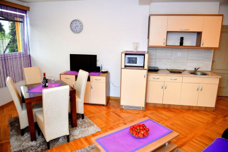 apartmani zlatibor planina apartman danica 224