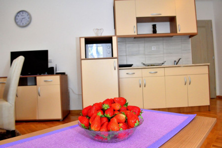 apartmani zlatibor planina apartman danica 225