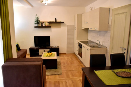 apartmani zlatibor planina apartman danica 9