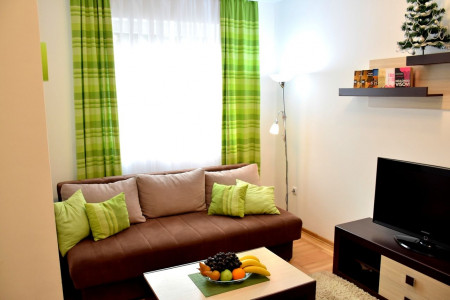 apartmani zlatibor planina apartman danica 93