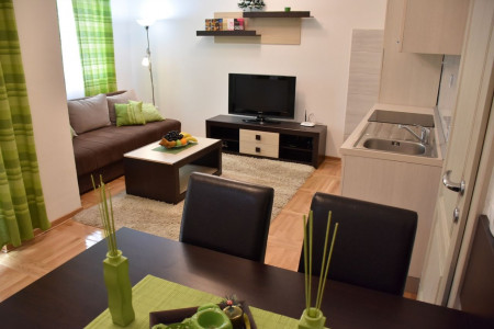 apartmani zlatibor planina apartman danica 95