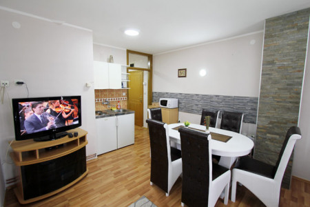 apartmani zlatibor planina apartman baneks2