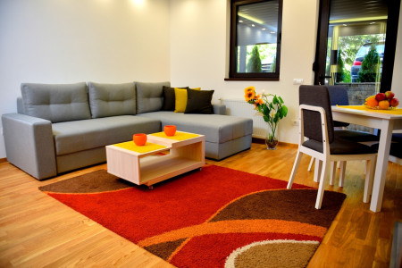 apartmani zlatibor planina apartman dionis 110