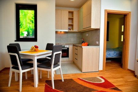 apartmani zlatibor planina apartman dionis 112