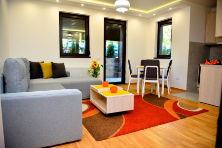 apartmani zlatibor planina apartman dionis 19