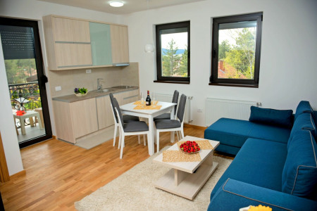 apartmani zlatibor planina apartman dionis 16