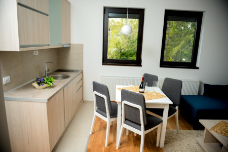 apartmani zlatibor planina apartman dionis 163