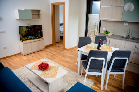 apartmani zlatibor planina apartman dionis 164