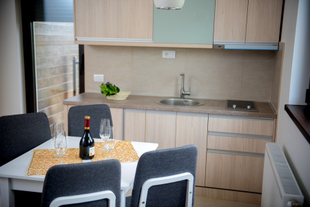 apartmani zlatibor planina apartman dionis 165