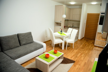 apartmani zlatibor planina apartman dionis 34