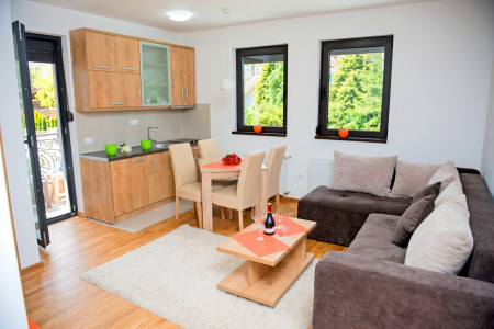 apartmani zlatibor planina apartman dionis 6