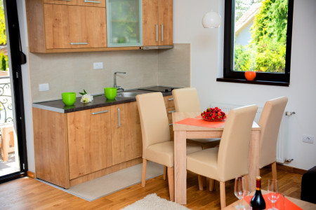 apartmani zlatibor planina apartman dionis 62