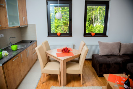 apartmani zlatibor planina apartman dionis 64