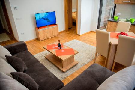 apartmani zlatibor planina apartman dionis 65