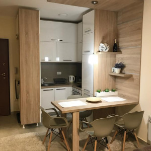 apartmani zlatibor planina apartman s palace2