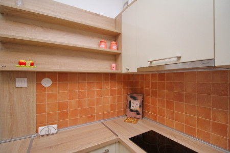 apartmani zlatibor planina apartman joka5