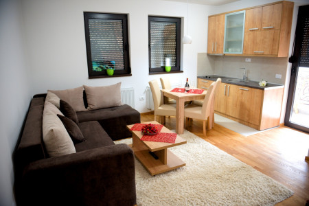 apartmani zlatibor planina apartman dionis 8