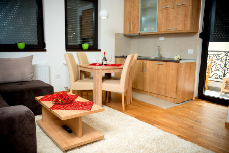 apartmani zlatibor planina apartman dionis 82