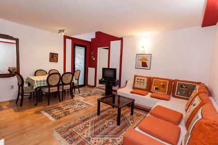 apartmani zlatibor planina apartman rujno10