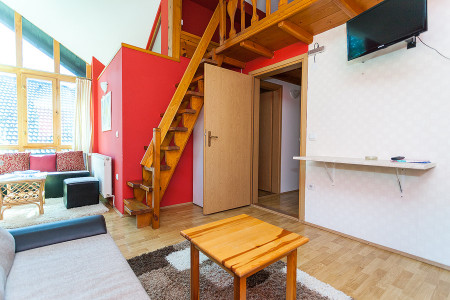 apartmani zlatibor planina apartman beli bor10