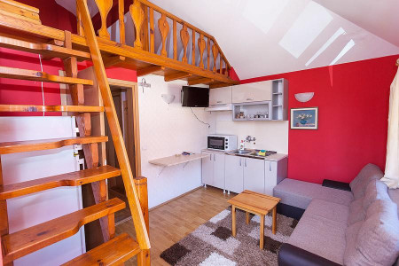 apartmani zlatibor planina apartman beli bor9