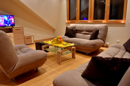 apartmani zlatibor planina apartman duplex lux12