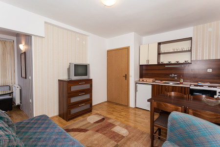 apartmani zlatibor planina apartman narcis5