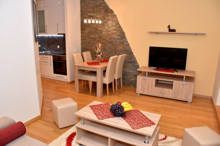 apartmani zlatibor planina apartman luka 12