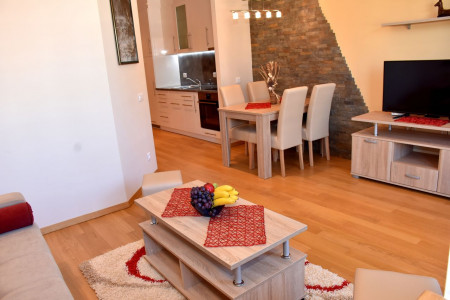 apartmani zlatibor planina apartman luka 13