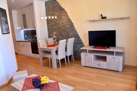 apartmani zlatibor planina apartman luka 14