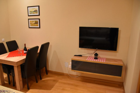 apartmani zlatibor planina apartman luka 24