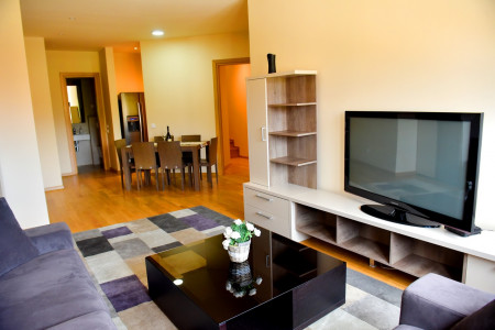 apartmani zlatibor planina apartman luka 2013