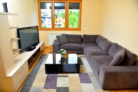 apartmani zlatibor planina apartman luka 202