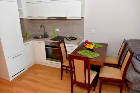 apartmani zlatibor planina apartman luka 43