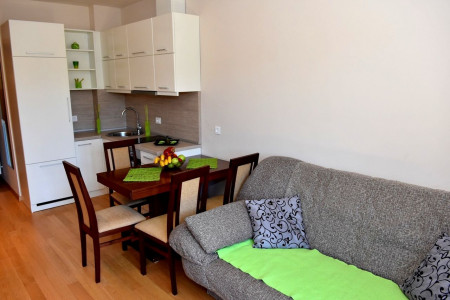 apartmani zlatibor planina apartman luka 45