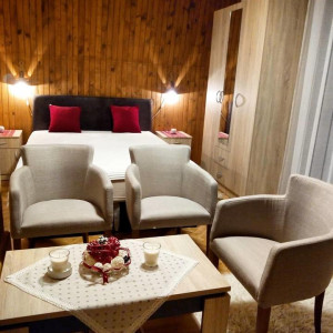 apartments zlatibor planina apartment kuca arsenijevic8