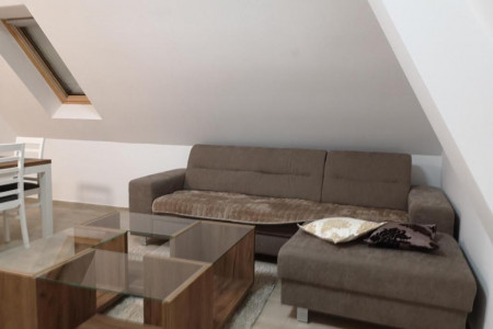 apartmani zlatibor planina apartman vila lovac deluks16