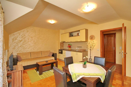 apartmani zlatibor planina apartman vila velickovic3