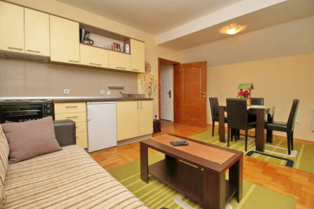 apartmani zlatibor planina apartman vila velickovic4