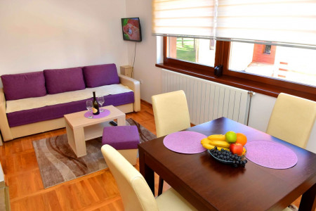 apartmani zlatibor planina apartman beba 74
