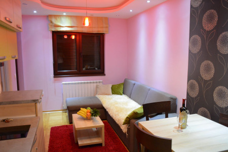 apartmani zlatibor planina apartman milan 2510