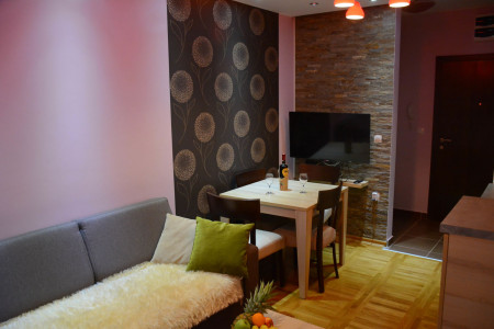 apartmani zlatibor planina apartman milan 255