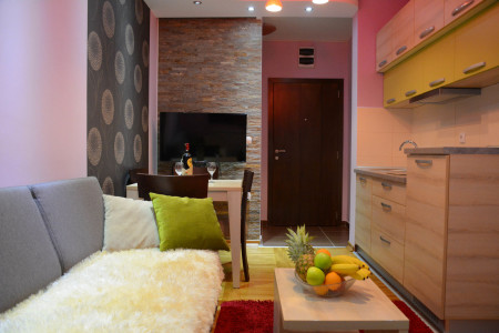 apartmani zlatibor planina apartman milan 256