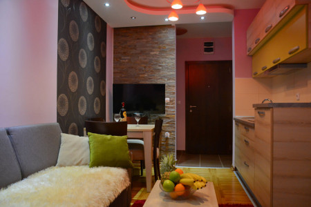 apartmani zlatibor planina apartman milan 257