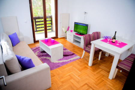 apartmani zlatibor planina apartman nadica 73