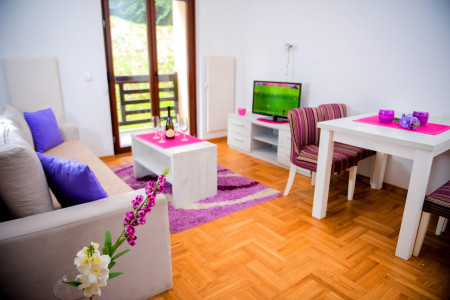 apartmani zlatibor planina apartman nadica 74
