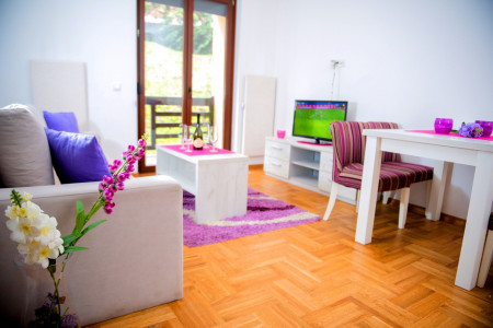 apartmani zlatibor planina apartman nadica 83