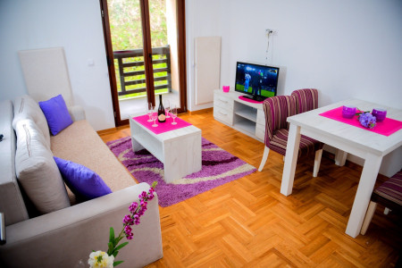 apartmani zlatibor planina apartman nadica 84