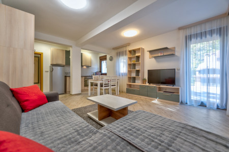 apartmani zlatibor planina apartman lovac 173