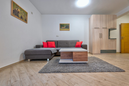 apartmani zlatibor planina apartman lovac 174